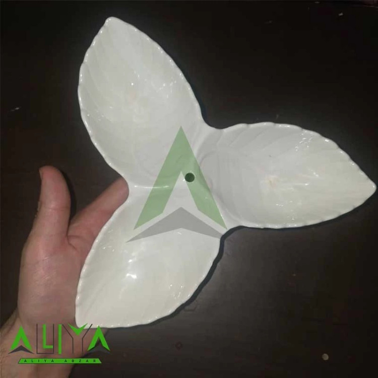 ظروف پذیرایی سرامیکی